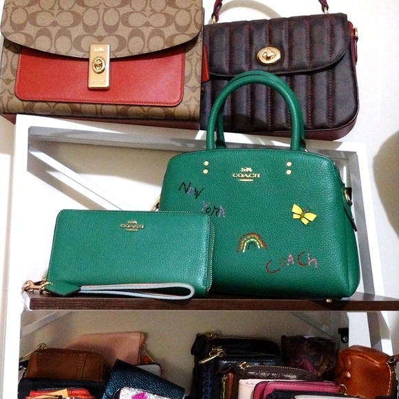 Coach mini Lillie carryall with Diary Embroidery Bag - Picture 14 of 14